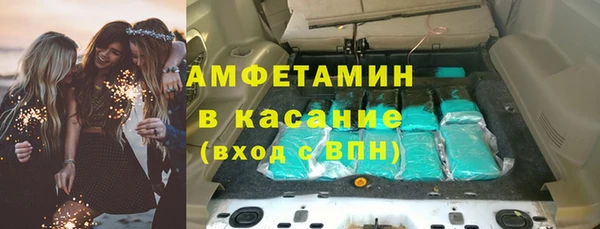 PSILOCYBIN Бородино