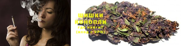 PSILOCYBIN Бородино