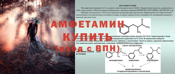 PSILOCYBIN Бородино